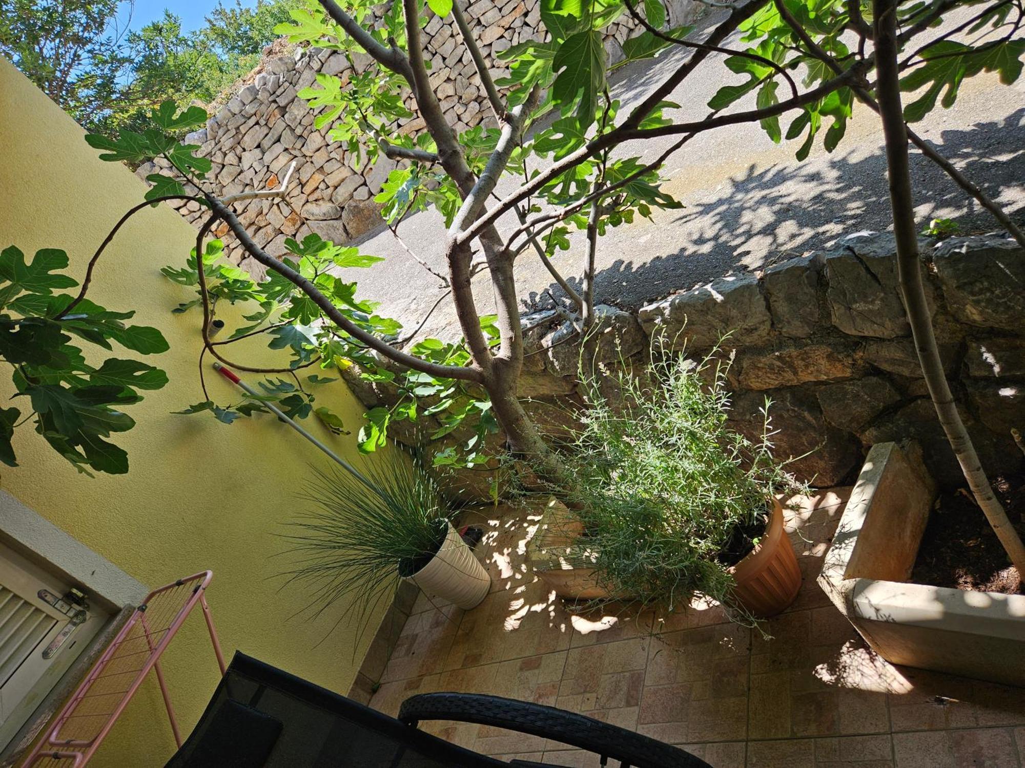 Apartmani Sanja Klenovica Buitenkant foto