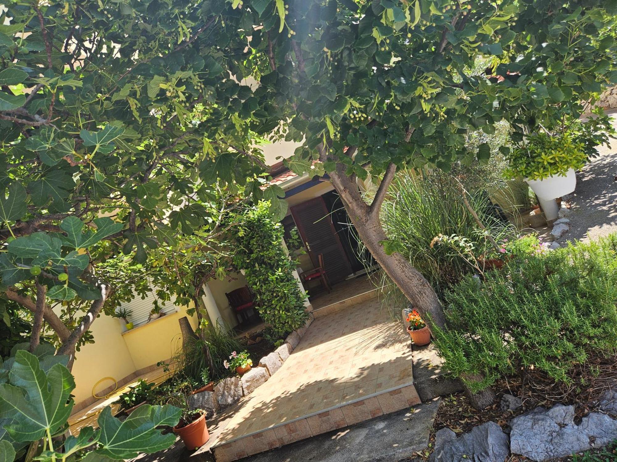 Apartmani Sanja Klenovica Buitenkant foto