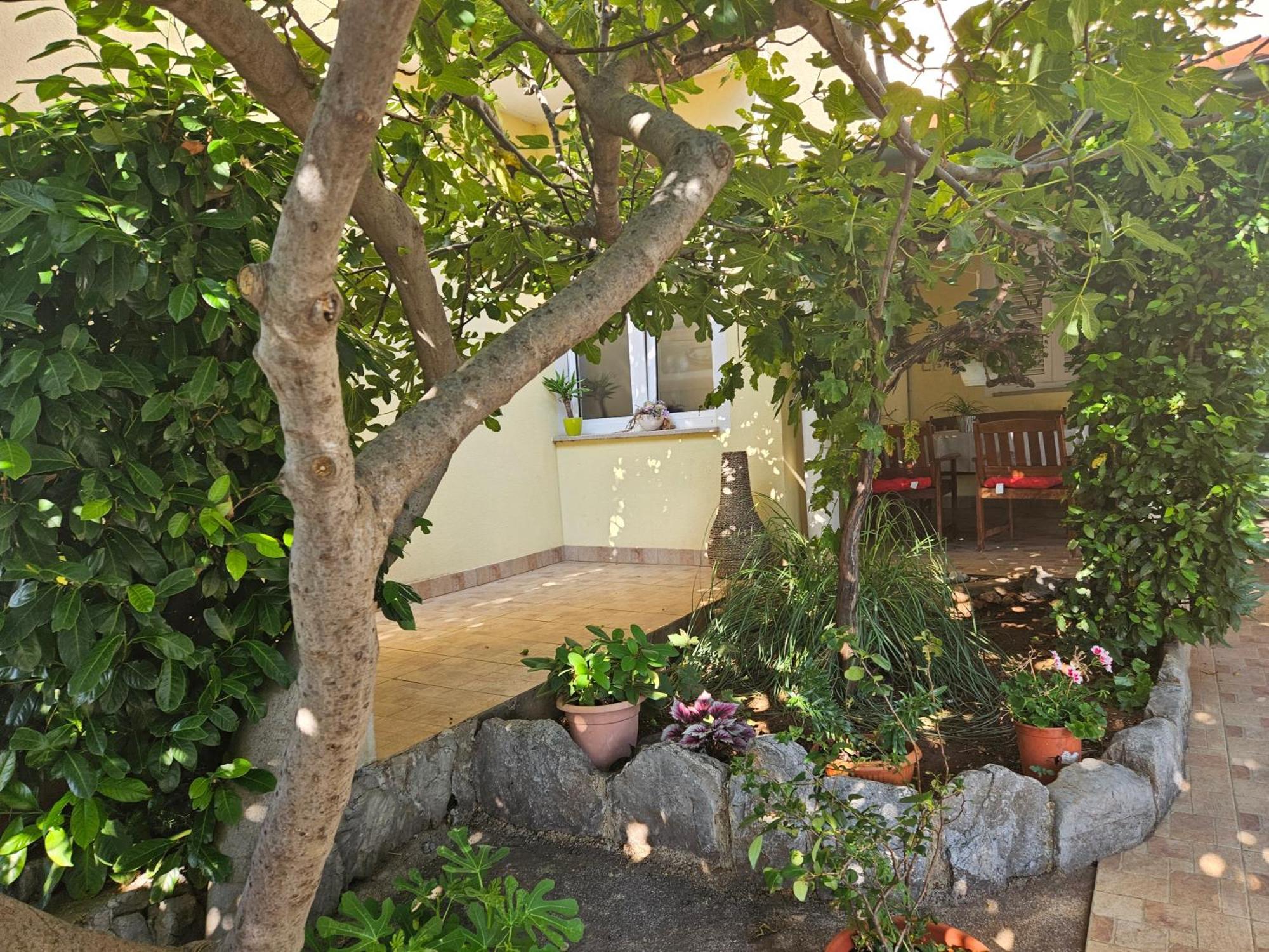 Apartmani Sanja Klenovica Buitenkant foto